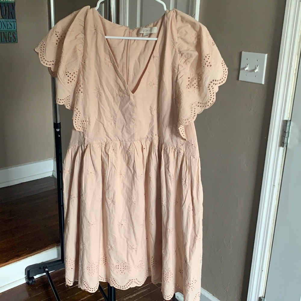 Blush pink Embroidered Floral Dress